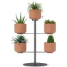 Support à plantes avec 5 pots Terrapotta