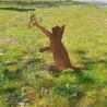Silhouette en fer Chats sur piques