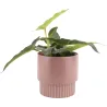 Cache pot en céramique Plant medium