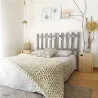 Armoire en pin brut 1 porte 2 tablettes Dinamic