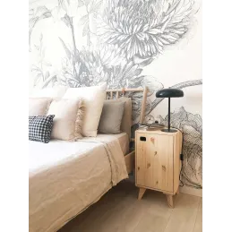 Armoire en pin brut 1 porte 2 tablettes Dinamic