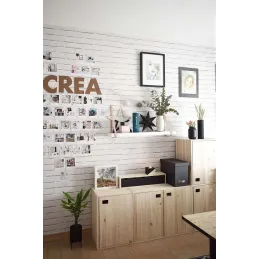 Armoire en pin brut 1 porte 2 tablettes Dinamic