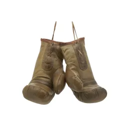 Gants de boxe en cuir de buffle
