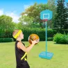 Panier de basket transportable