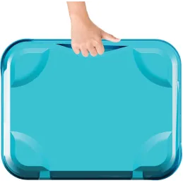 Panier de basket transportable