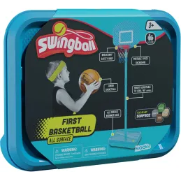 Panier de basket transportable