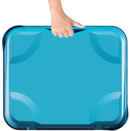 Panier de basket transportable