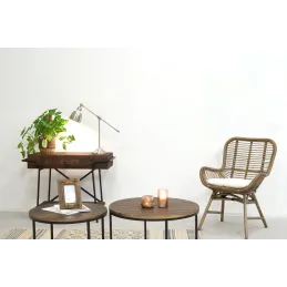 Tables basses en métal et bois (Lot de 2)