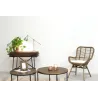 Tables basses en métal et bois (Lot de 2)