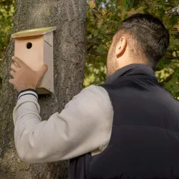 Nichoir pour mésange bleue en pin pochoir