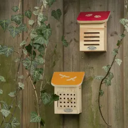 Maison à insectes en bois Pochoir