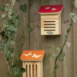 Maison à insectes en bois Pochoir