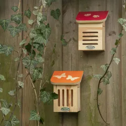 Maison à insectes en bois Pochoir