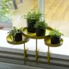 Support à plantes rond à fixer hauteur réglable doré