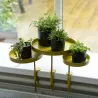 Support à plantes rond à fixer hauteur réglable doré