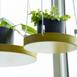 Support à plantes rond à suspendre doré