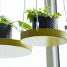 Support à plantes rond à suspendre doré