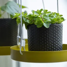 Support à plantes rond à suspendre doré