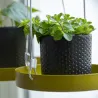 Support à plantes rond à suspendre doré