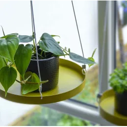 Support à plantes rond à suspendre doré