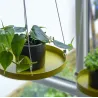 Support à plantes rond à suspendre doré