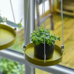 Support à plantes rond à suspendre doré