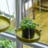 Support à plantes rond à suspendre doré