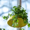 Support à plantes rond à suspendre doré