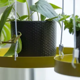 Support à plantes rond à suspendre doré