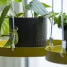 Support à plantes rond à suspendre doré