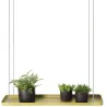 Support à plantes rectangulaire à suspendre doré
