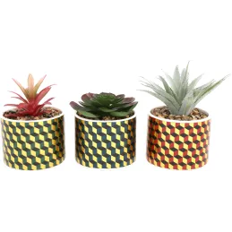 Plantes succulentes artificielles Cubic (Lot de 3)