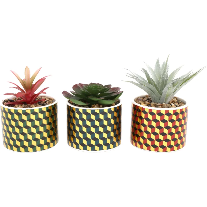 Plantes succulentes artificielles Cubic (Lot de 3)