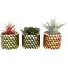 Plantes succulentes artificielles Cubic (Lot de 3)