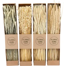 Fleurs séchées naturelles 60 cm Floral (Lot de 4)