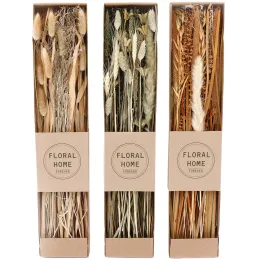 Fleurs séchées naturelles 60 cm Forever (Lot de 3)