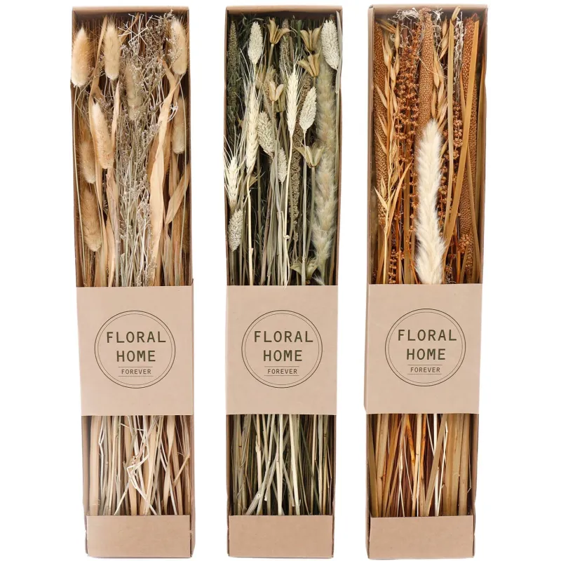 Fleurs séchées naturelles 60 cm Forever (Lot de 3)