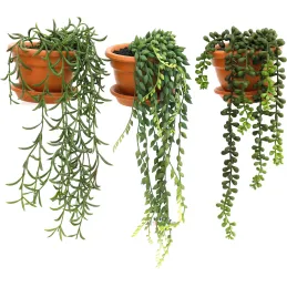 Plantes artificielles en pot terracotta (Lot de 3)