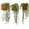 Plantes artificielles en pot terracotta (Lot de 3)