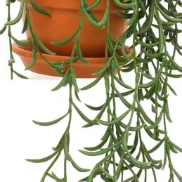 Plantes artificielles en pot terracotta (Lot de 3)