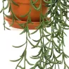Plantes artificielles en pot terracotta (Lot de 3)