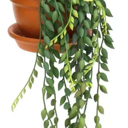Plantes artificielles en pot terracotta (Lot de 3)