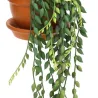 Plantes artificielles en pot terracotta (Lot de 3)