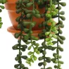 Plantes artificielles en pot terracotta (Lot de 3)