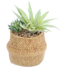 Succulente artificielle dans pot tressé 22 x 14 cm