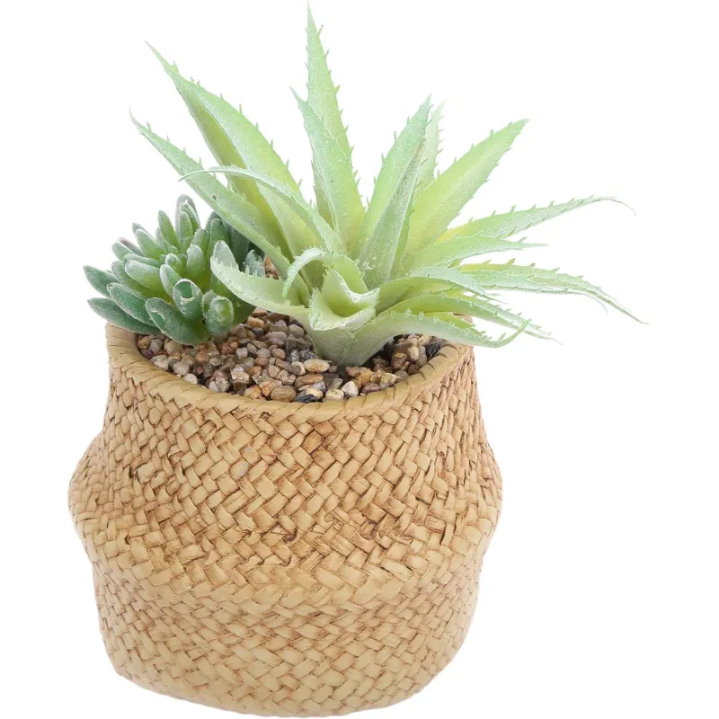 Succulente artificielle dans pot tressé 22 x 14 cm