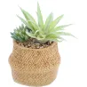 Succulente artificielle dans pot tressé 22 x 14 cm