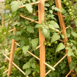 Support en bois de pin pour plantes 4 piquets