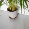 Support à roulettes en bois pour plantes d'intérieur