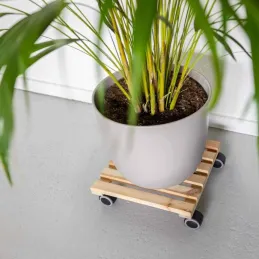Support à roulettes en bois pour plantes d'intérieur